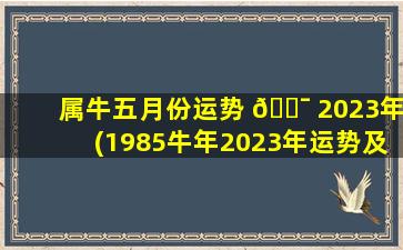 属牛五月份运势 🐯 2023年(1985牛年2023年运势及运程 🐺 )